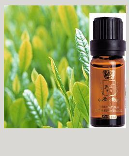 杜松籽单方精油 自然精华与多元应用的探索